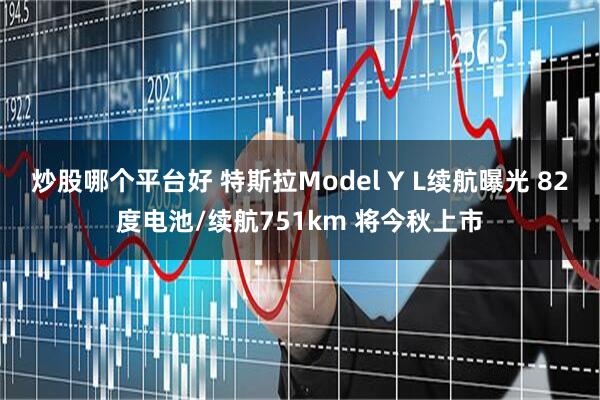 炒股哪个平台好 特斯拉Model Y L续航曝光 82度电池/续航751km 将今秋上市